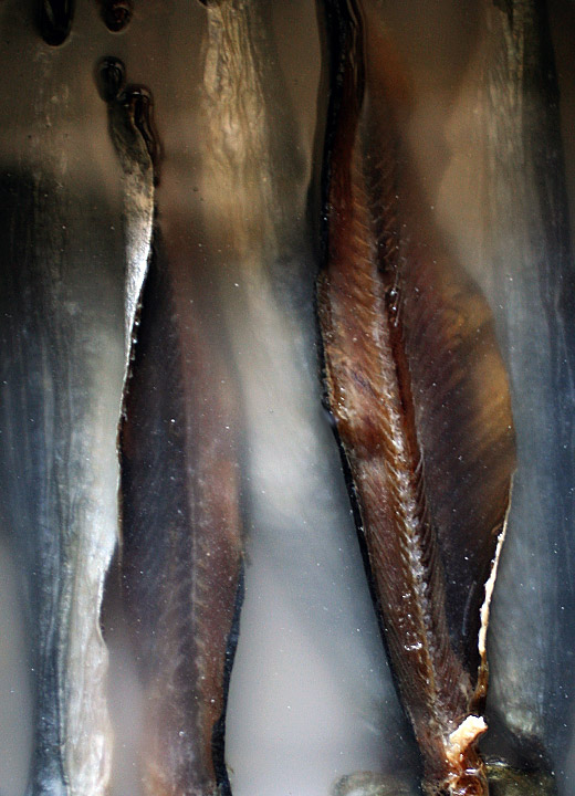 Dried Herring