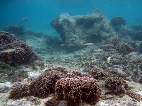 2012082504.jpg