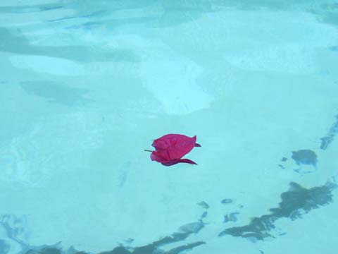 2012082509.jpg