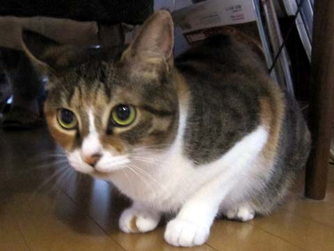 2012091201.jpg