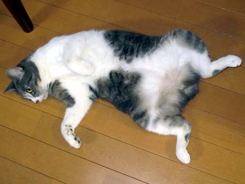 2012091202.jpg