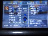 DSC00049.jpg