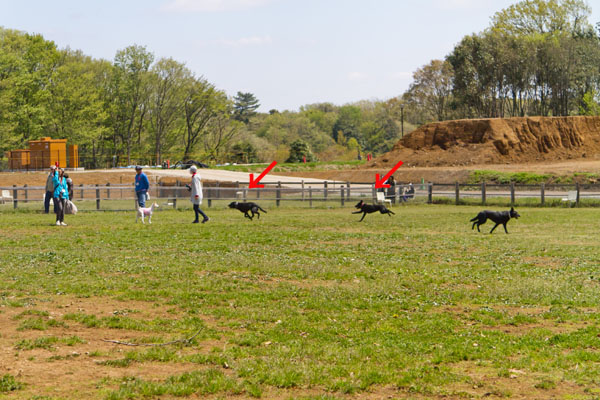 20130413_LM_out-1445.jpg