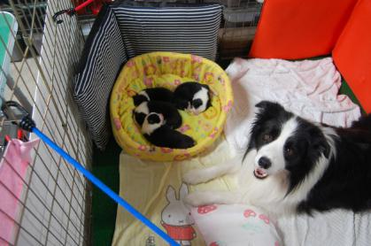le_20121130_05.jpg