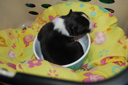 le_20121201_06.jpg