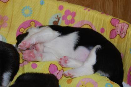 le_20121203_03.jpg