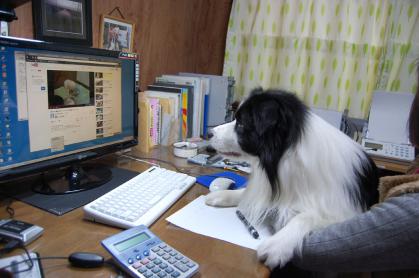le_20121209_04.jpg