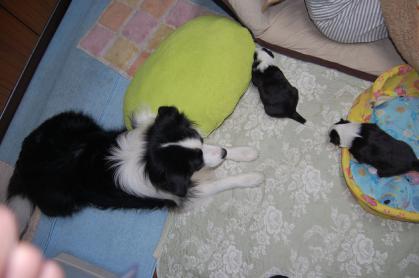 le_20121209_05.jpg