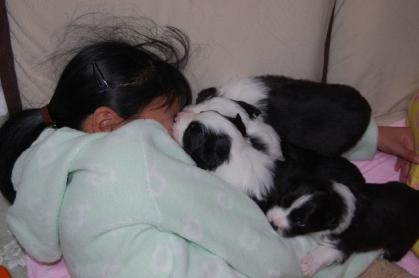 le_20121213_01.jpg