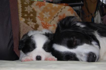 le_2012_1228_03.jpg
