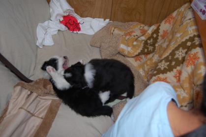 le_2012_1229_04.jpg
