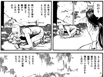 月的愛人3