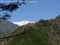 ssP1030427.jpg