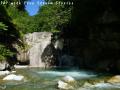 ssP1030667.jpg
