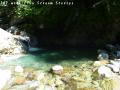 ssP1030671.jpg