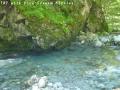 ssP1030678.jpg