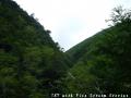 ssP1030769.jpg