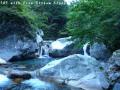 ssP1030829.jpg