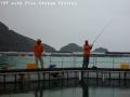 ssP1040057.jpg