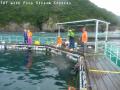 ssP1040067.jpg