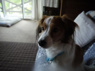 120601_11.jpg