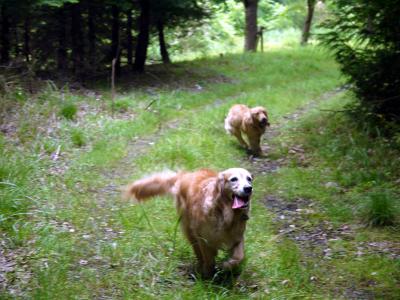 120601_2.jpg