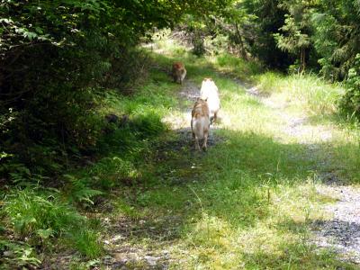 120601_4.jpg