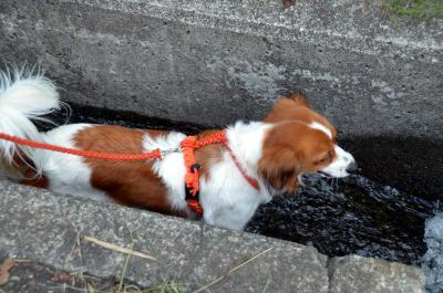 120630_5.jpg