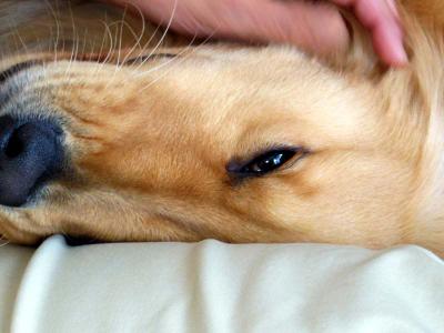 120706_10.jpg