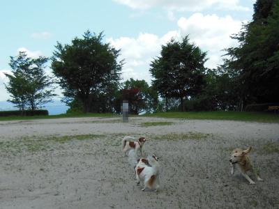 120801_3.jpg