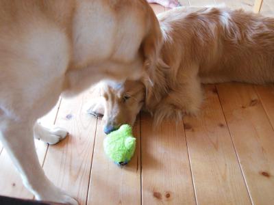 120824_1.jpg