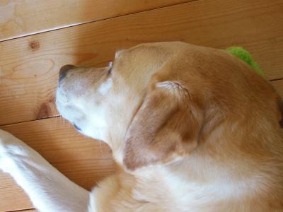 120824_3.jpg
