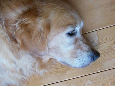 120824_4.jpg