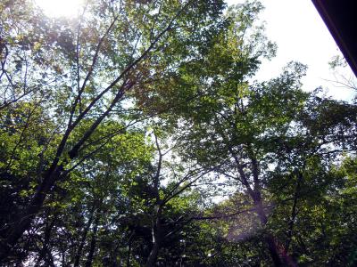 120827_3.jpg
