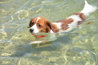 120901_10.jpg