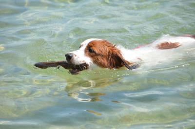 120901_12.jpg