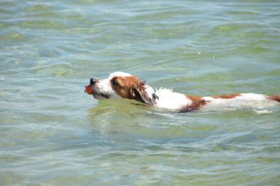 120901_13.jpg