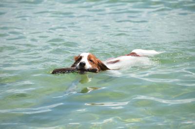 120901_14.jpg