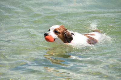 120901_15.jpg
