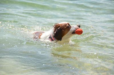 120901_16.jpg