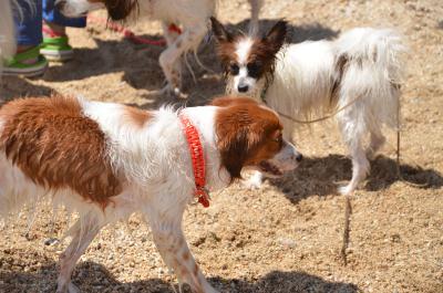 120901_17.jpg