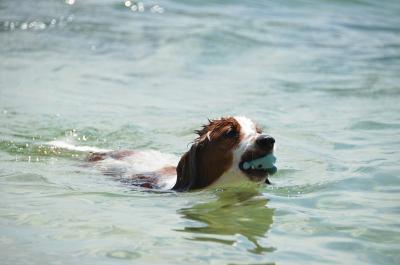 120901_18.jpg