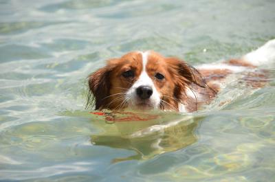 120901_19.jpg