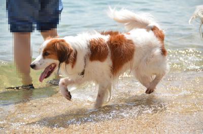120901_23.jpg