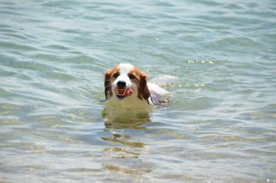 120901_30.jpg
