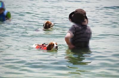 120901_33.jpg