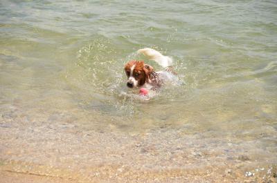 120901_35.jpg