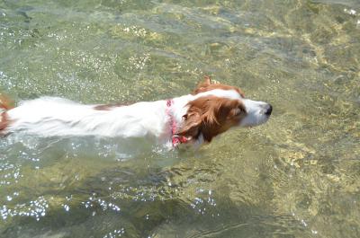 120901_7.jpg
