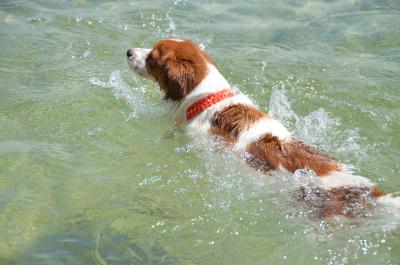 120901_8.jpg