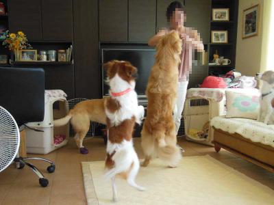 120904_3.jpg
